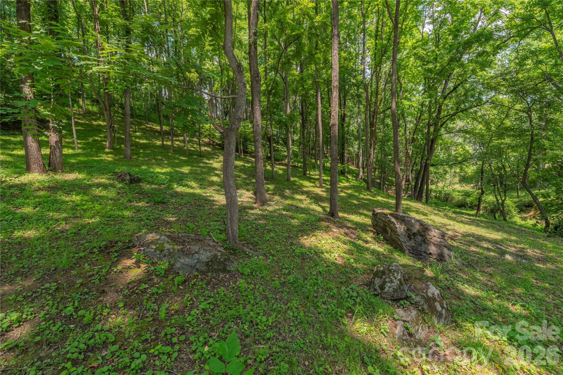 702 Love Joy Road - Photo 17