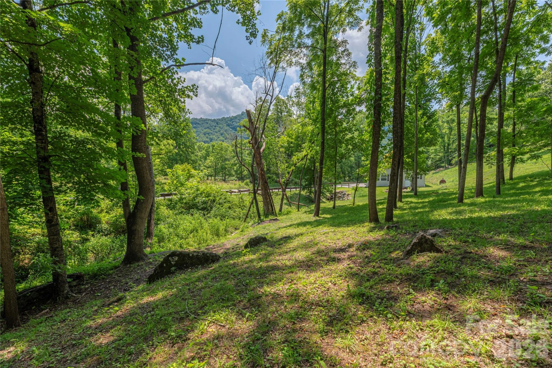 702 Love Joy Road - Photo 18