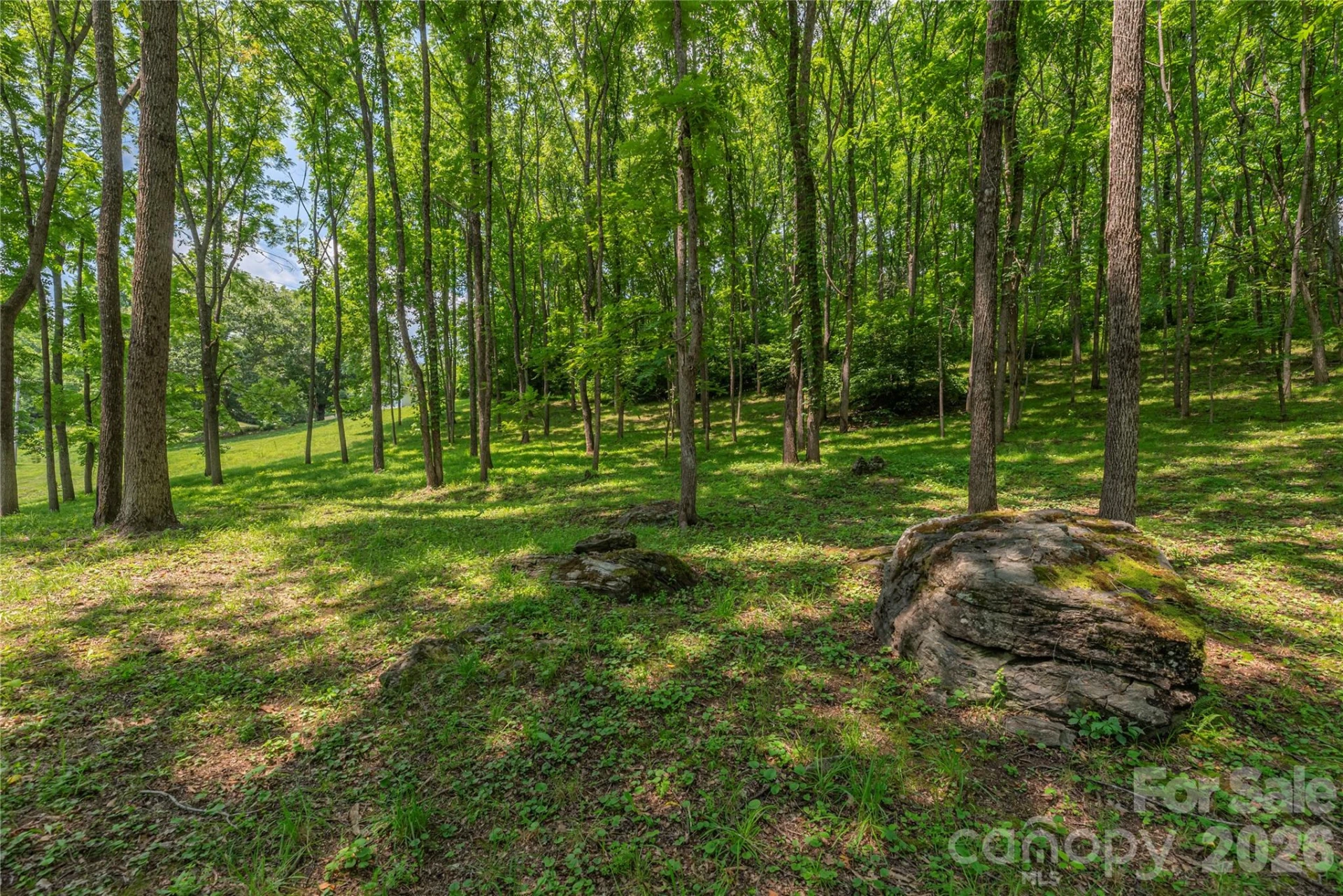 702 Love Joy Road - Photo 19
