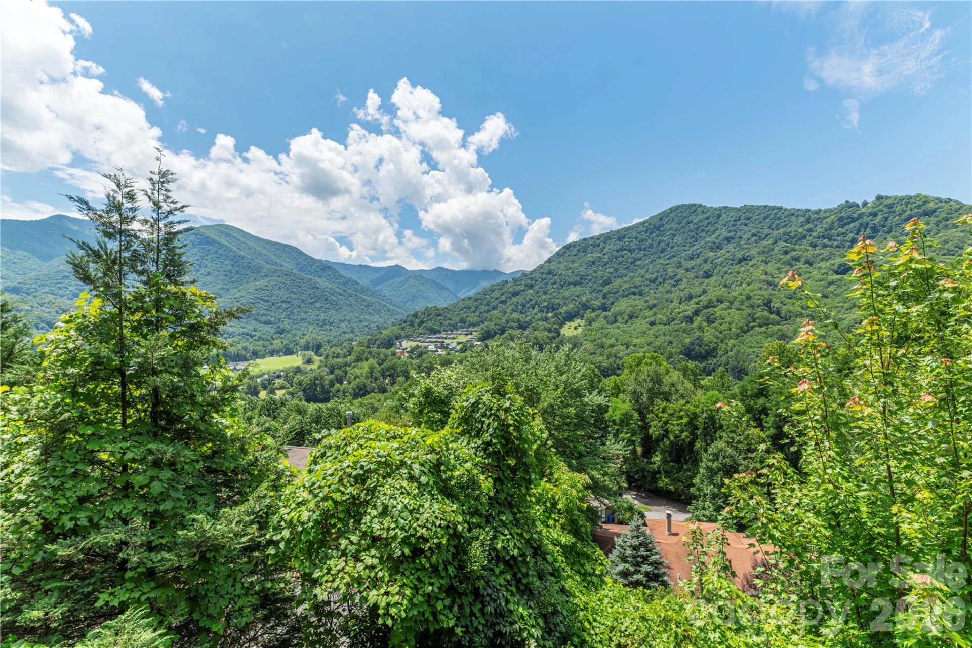 73 Mountain Breeze Drive - Photo 2