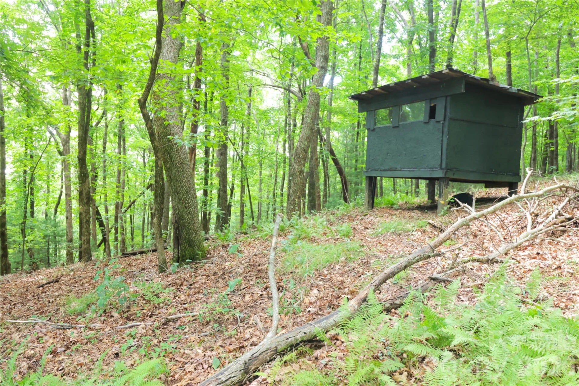 141 Owl Haven Lane - Photo 38
