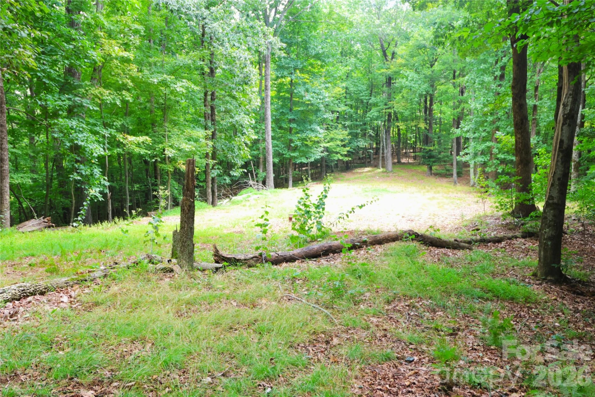 141 Owl Haven Lane - Photo 39