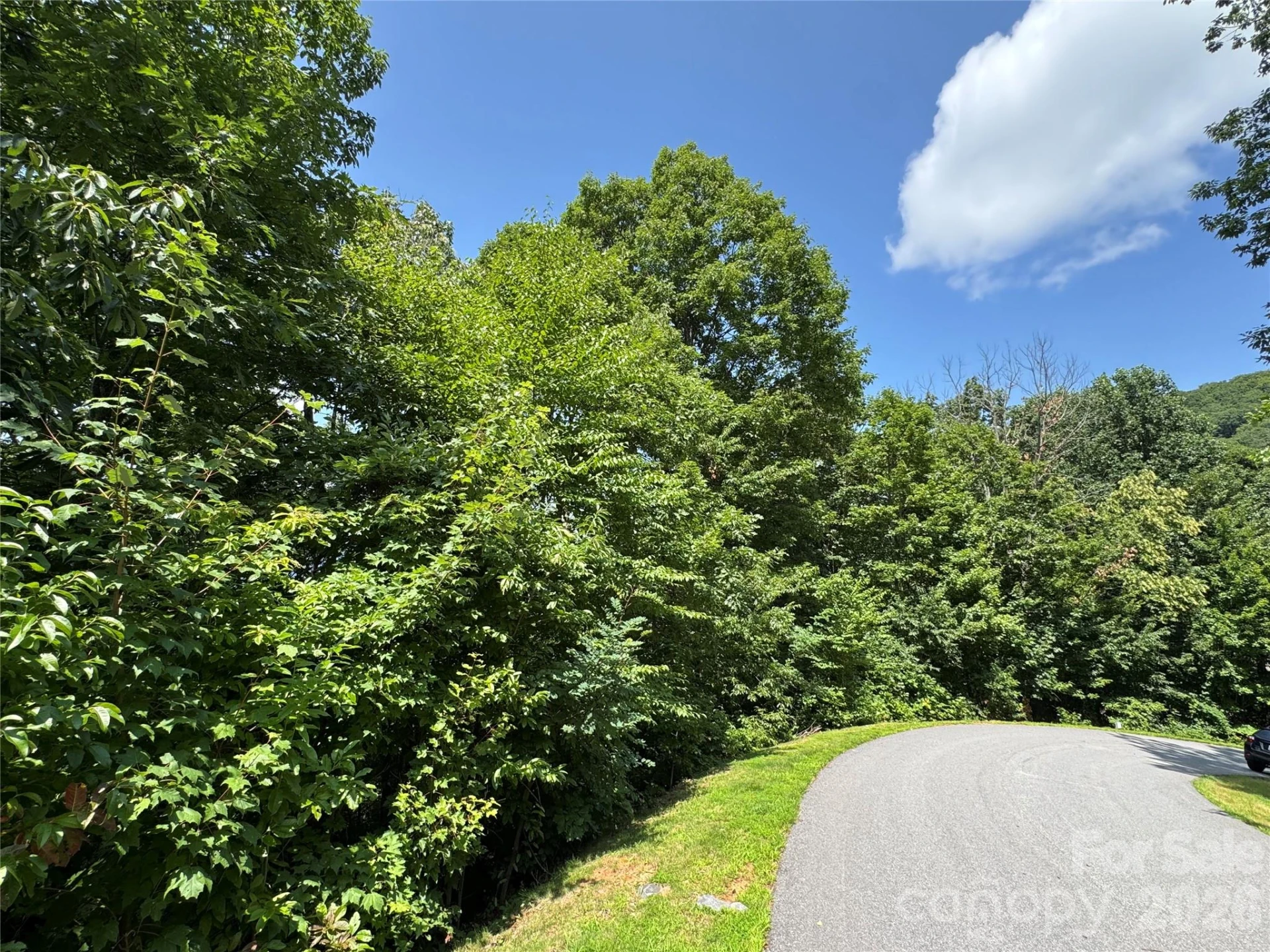352 High Hickory Trail #20 - Photo 2