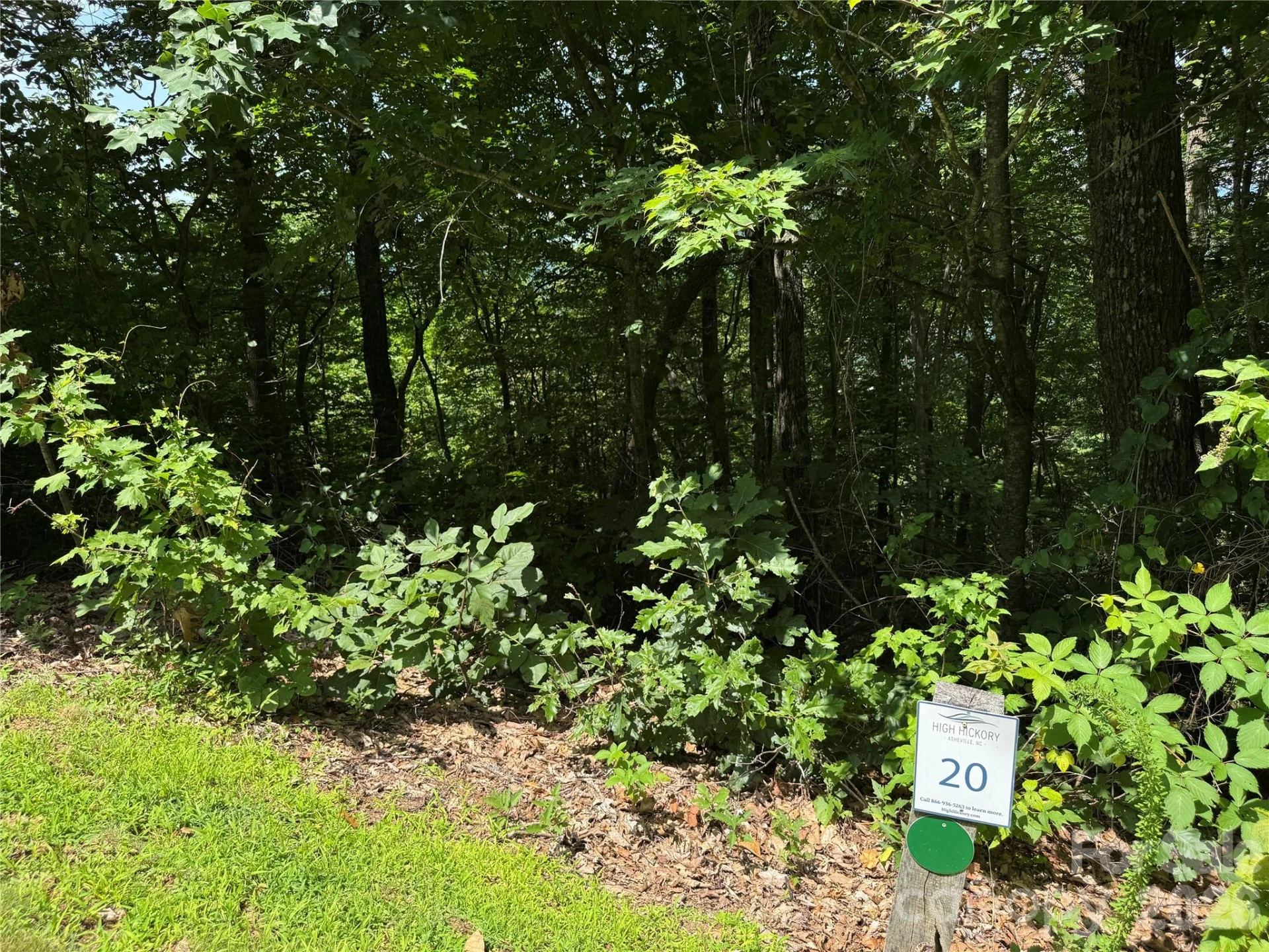 352 High Hickory Trail #20 - Photo 3
