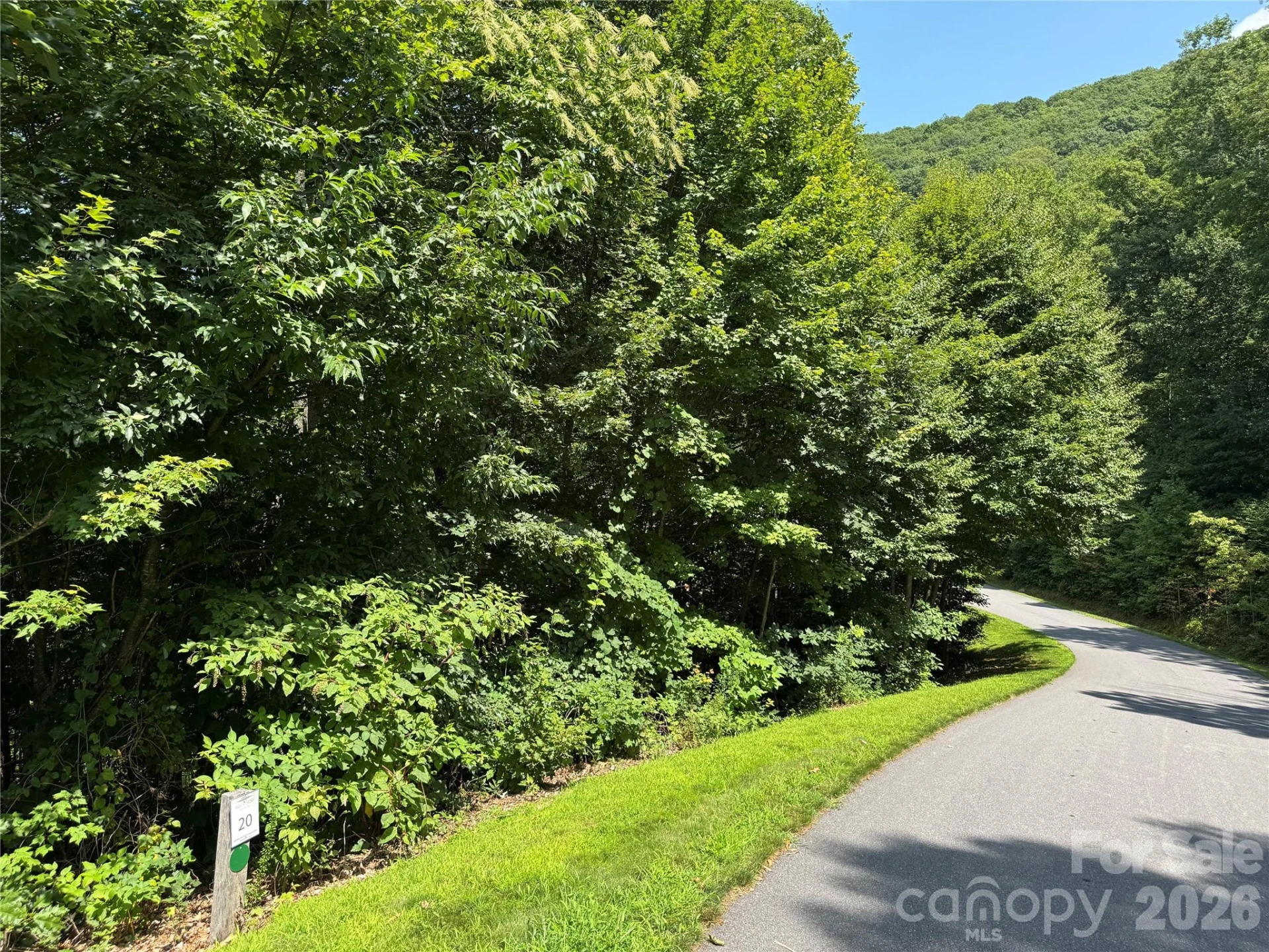 352 High Hickory Trail #20 - Photo 4