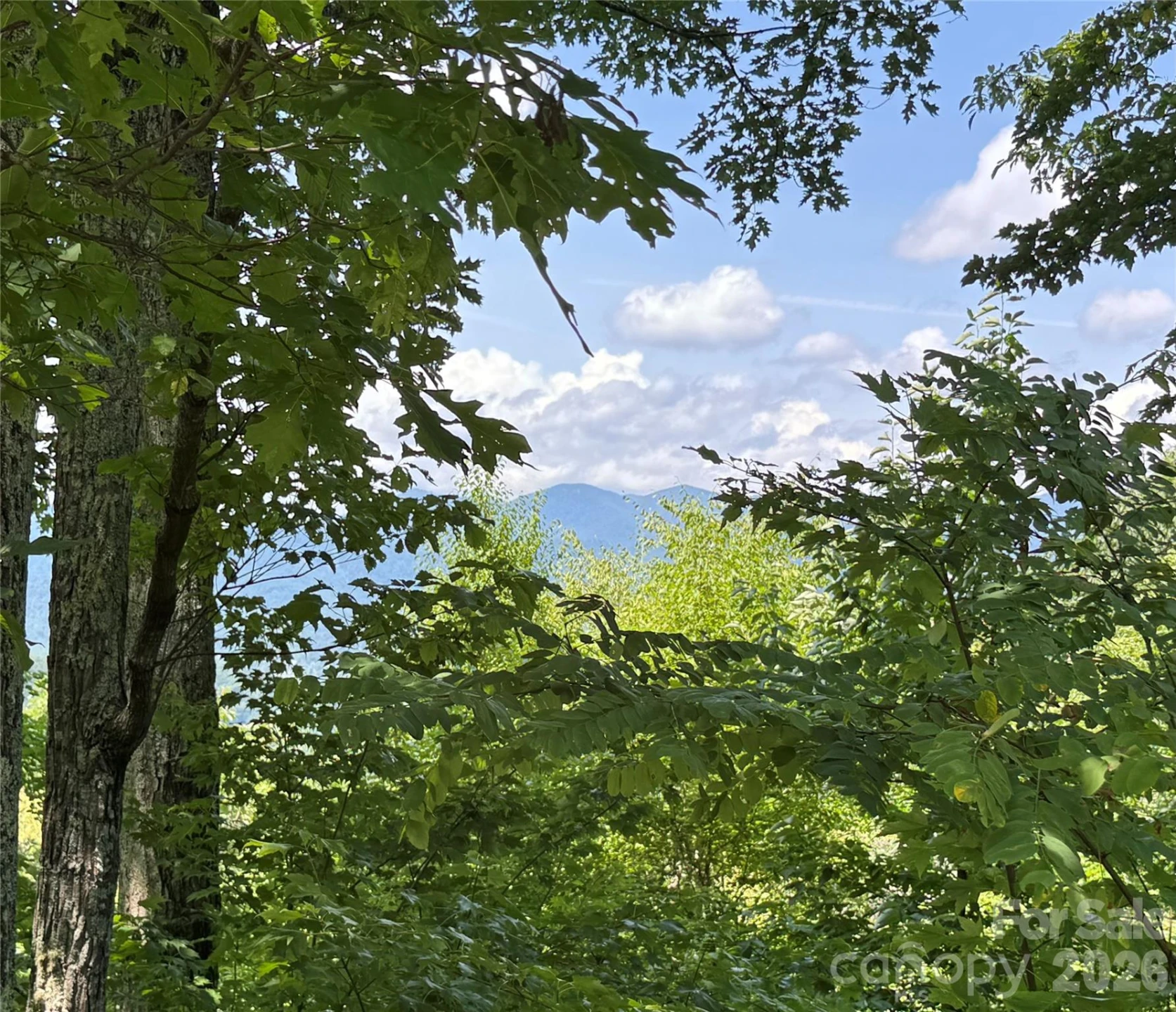 352 High Hickory Trail #20 - Photo 6