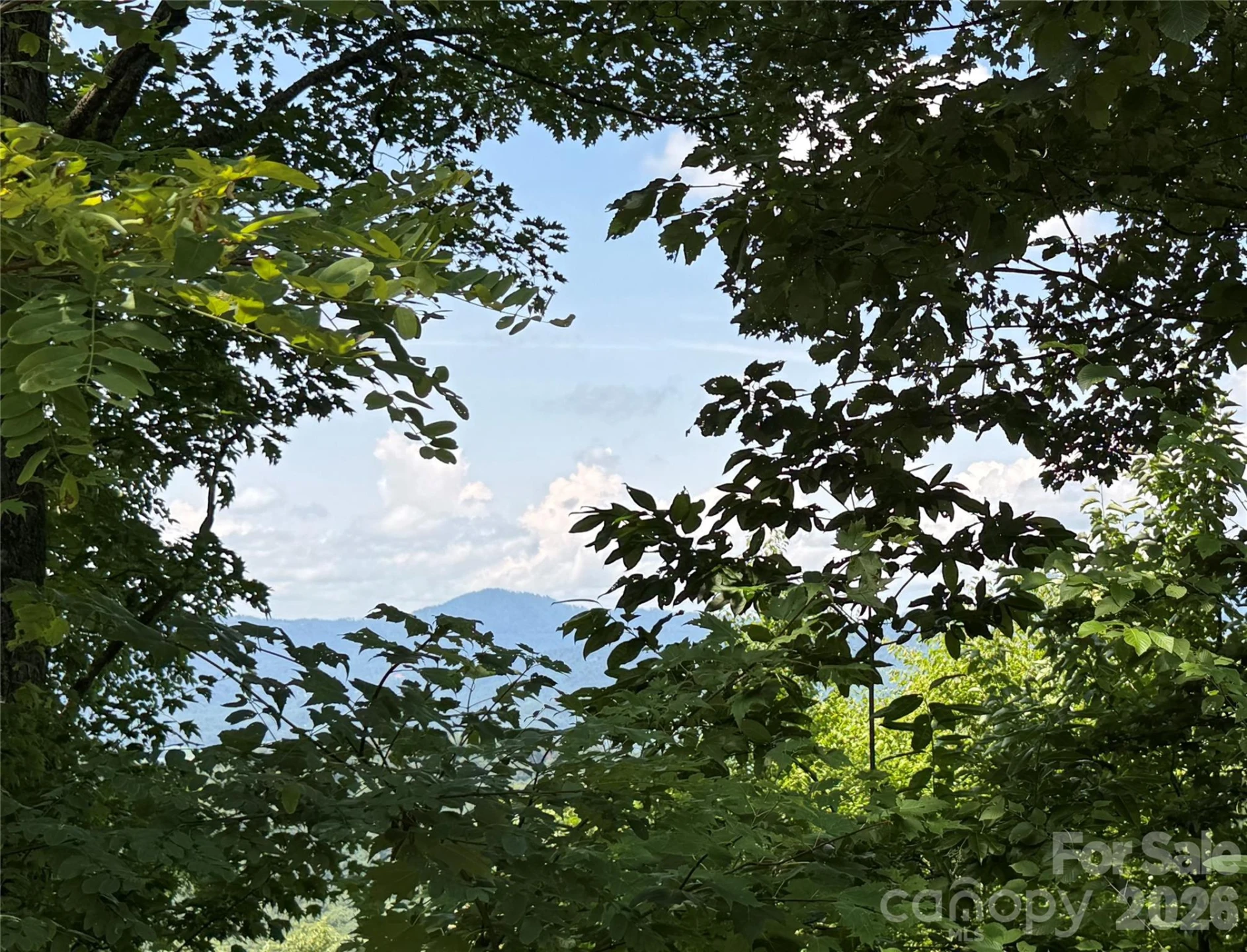 352 High Hickory Trail #20 - Photo 8