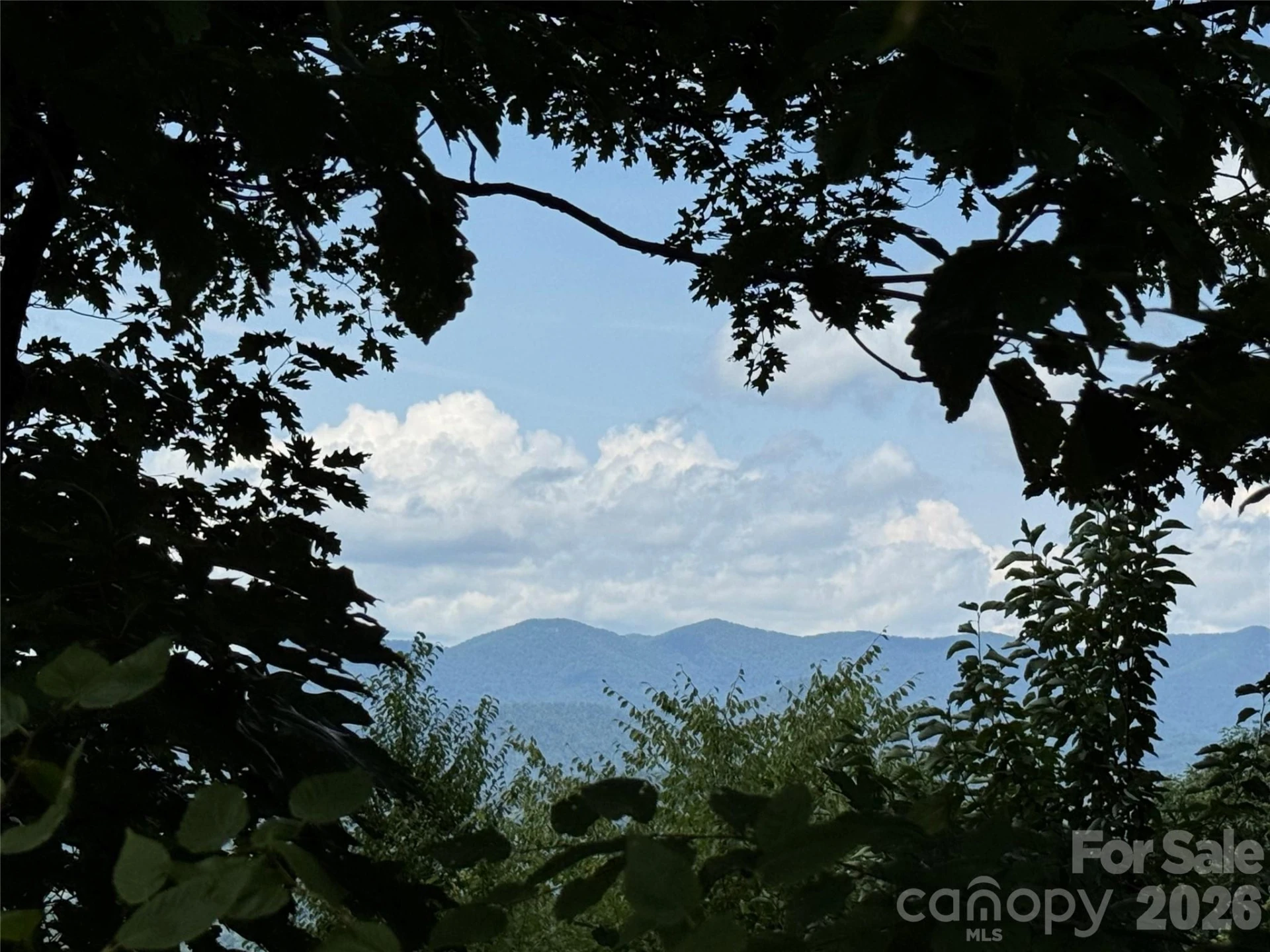 352 High Hickory Trail #20 - Photo 9