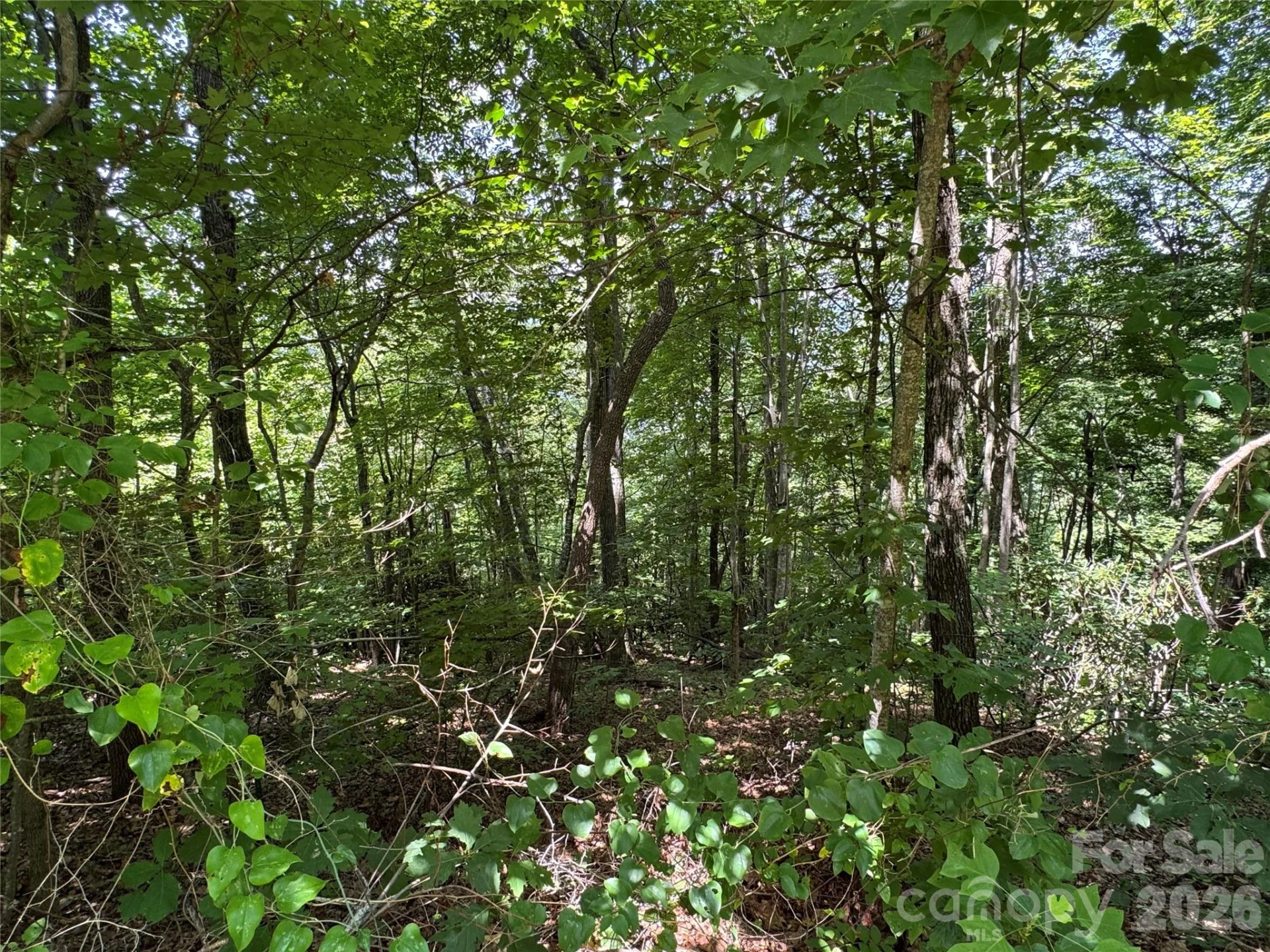 352 High Hickory Trail #20 - Photo 10