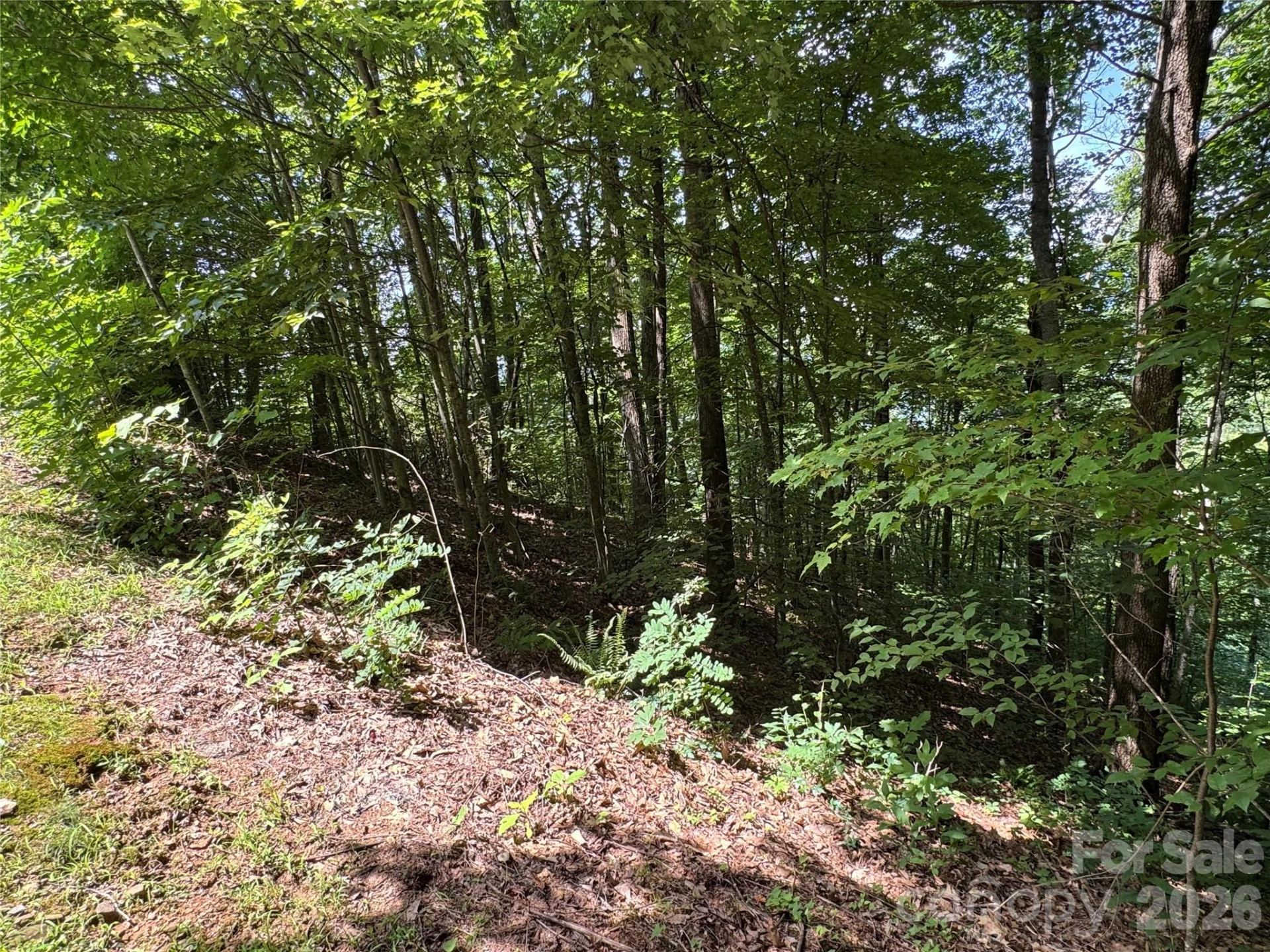 352 High Hickory Trail #20 - Photo 11