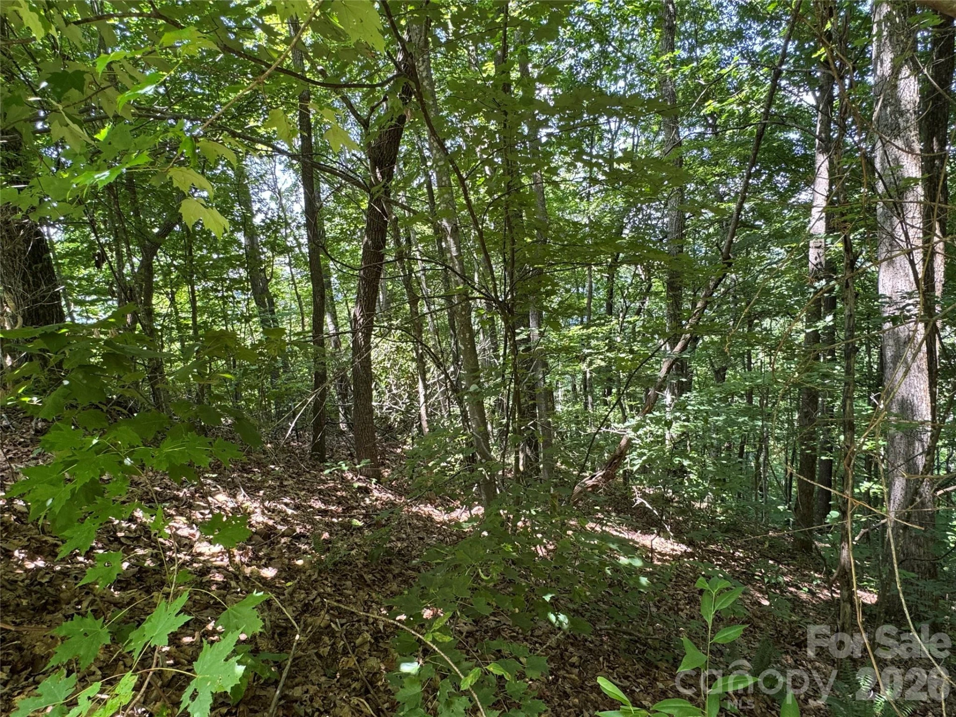 352 High Hickory Trail #20 - Photo 12