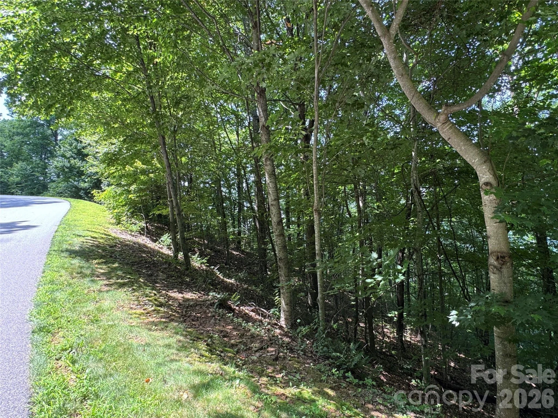 352 High Hickory Trail #20 - Photo 13