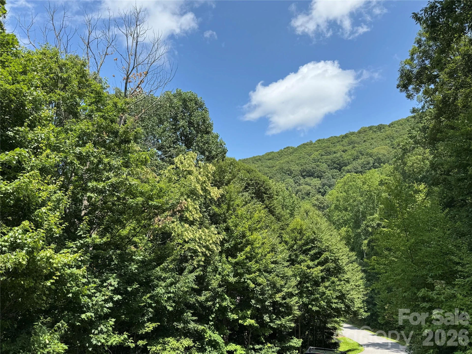 352 High Hickory Trail #20 - Photo 15