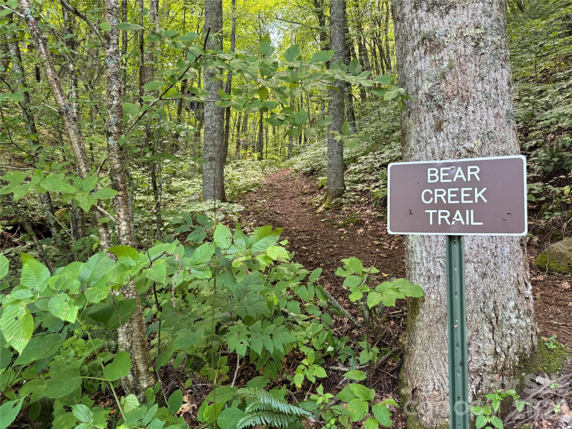 352 High Hickory Trail #20 - Photo 22