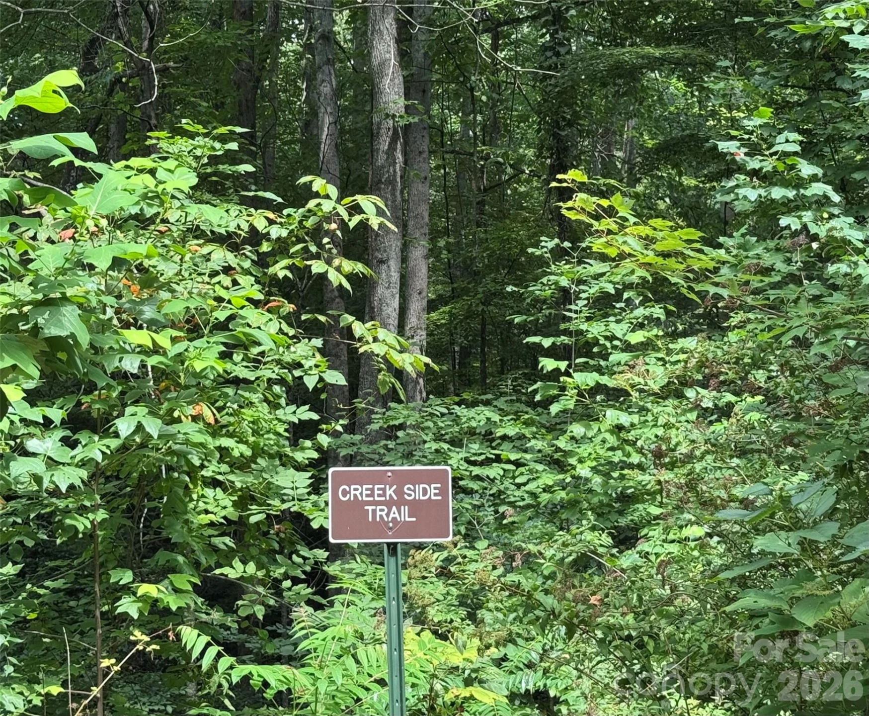 352 High Hickory Trail #20 - Photo 23