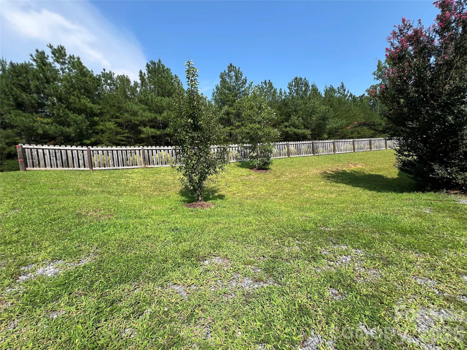 409 North Dakota Drive #307 - Photo 24