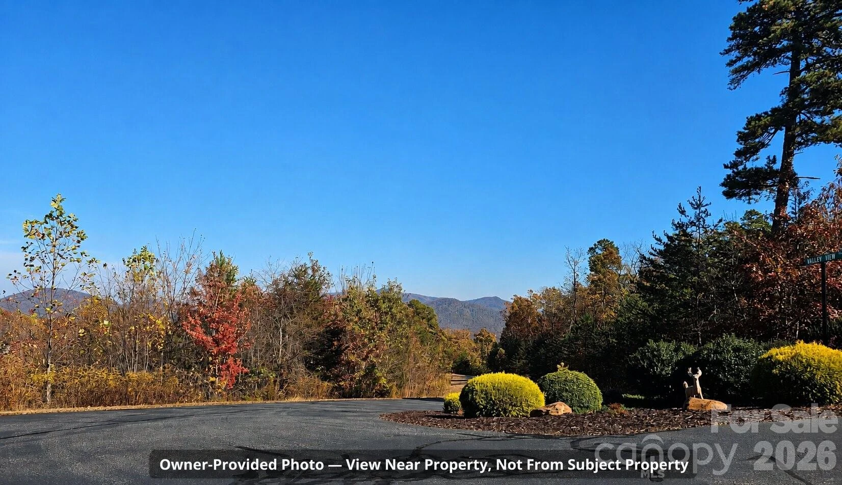 1211 Mountain Vista Drive - Photo 6