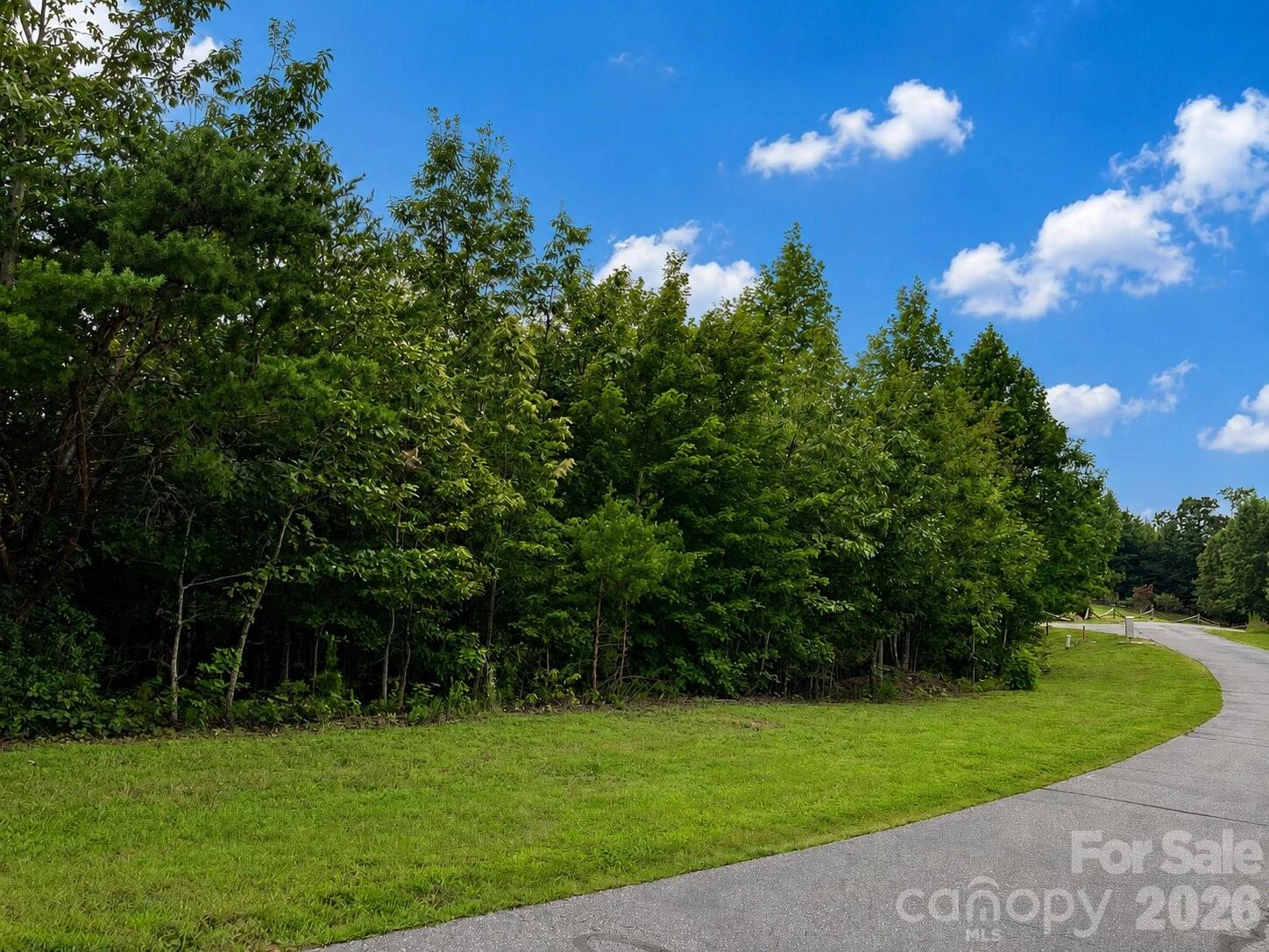 1211 Mountain Vista Drive - Photo 8