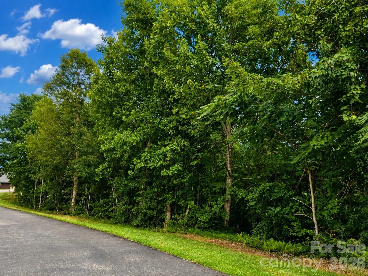1211 Mountain Vista Drive - Photo 9