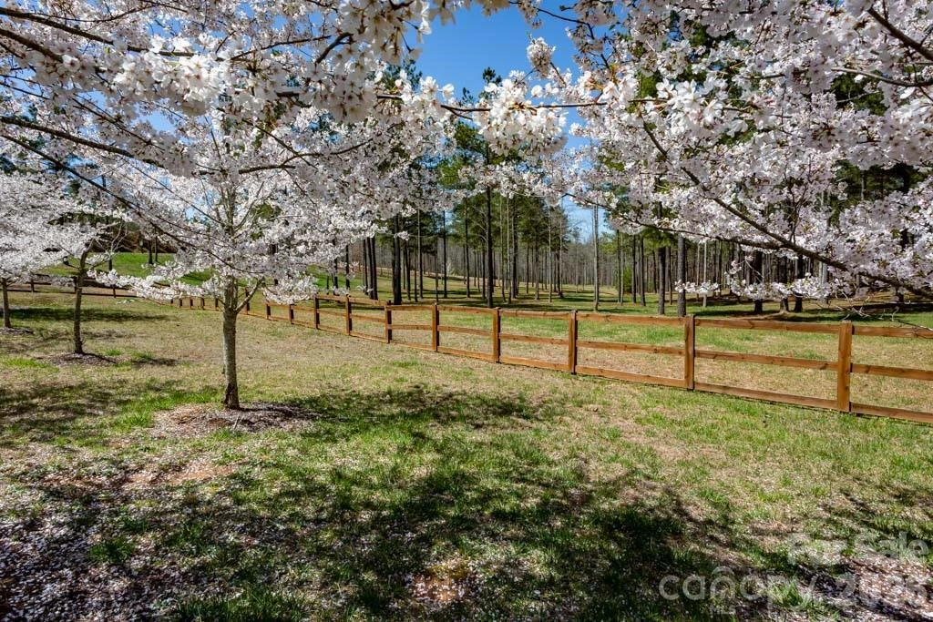 1211 Mountain Vista Drive - Photo 20