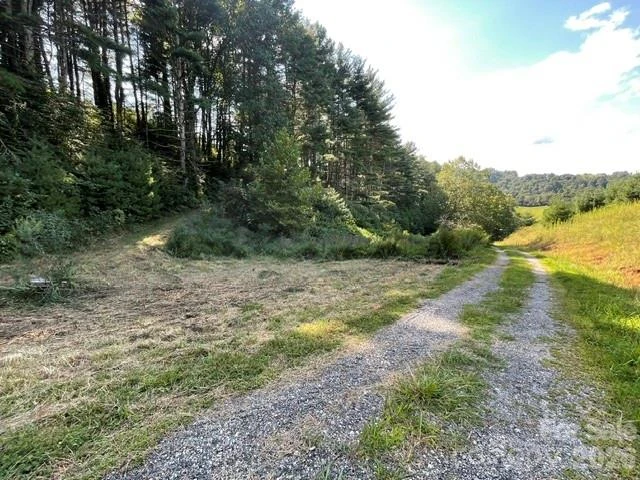 105 Roberts Branch Road - Photo 2