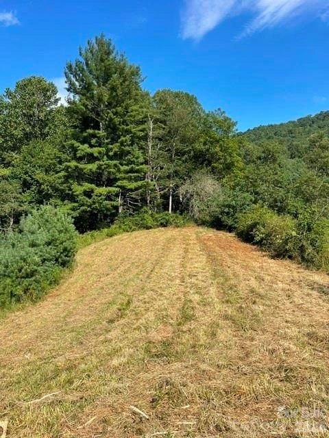 105 Roberts Branch Road - Photo 3