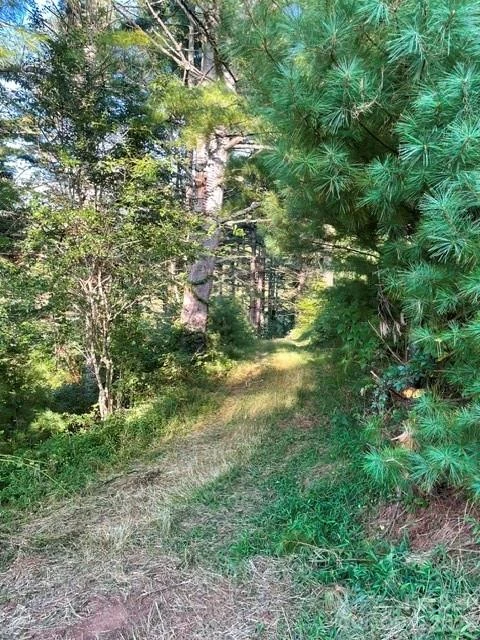 105 Roberts Branch Road - Photo 4
