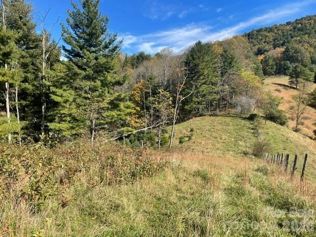 105 Roberts Branch Road - Photo 8