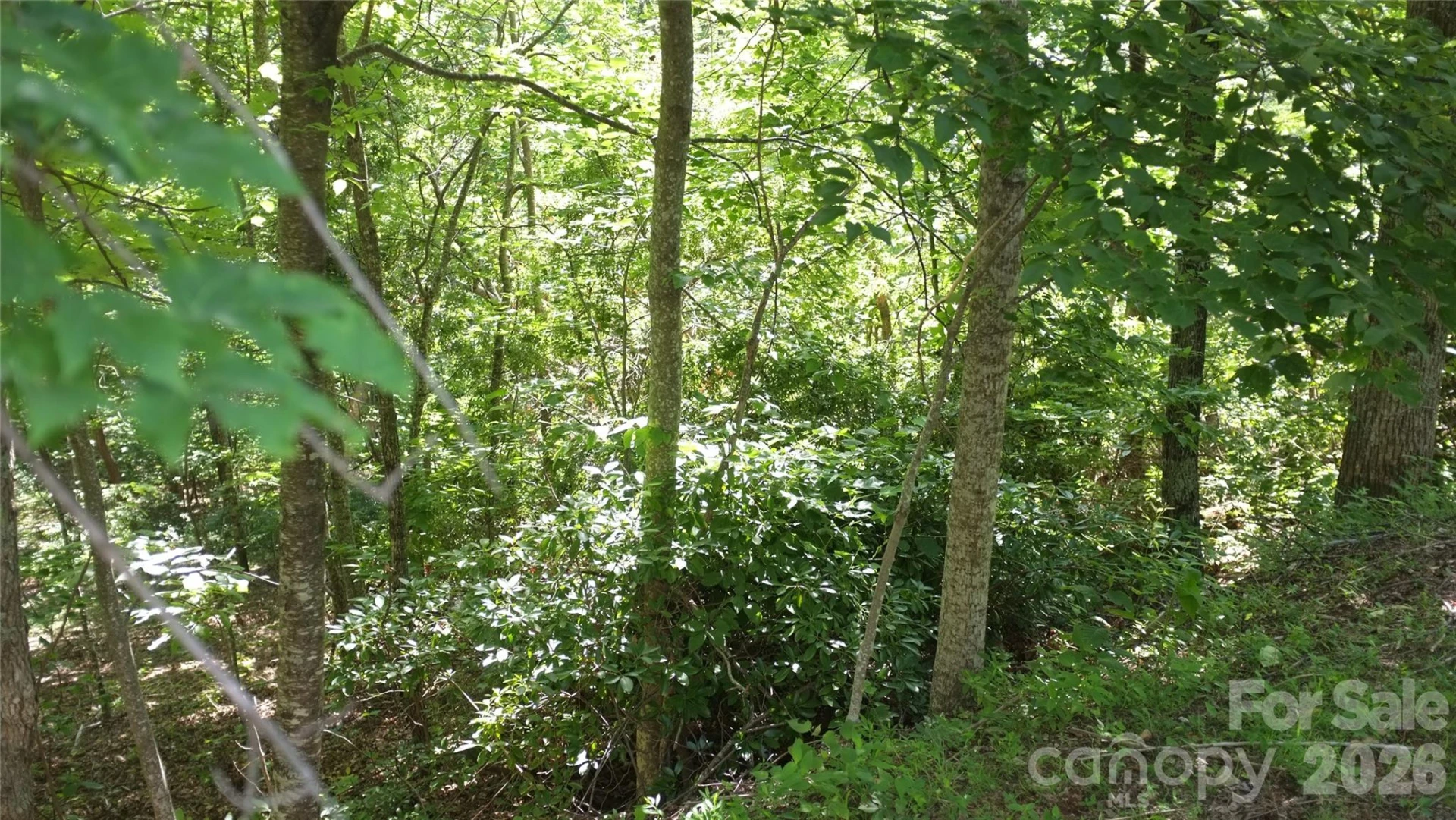 11 & 21 Sunset Ridge Drive #21 & 11 - Photo 2