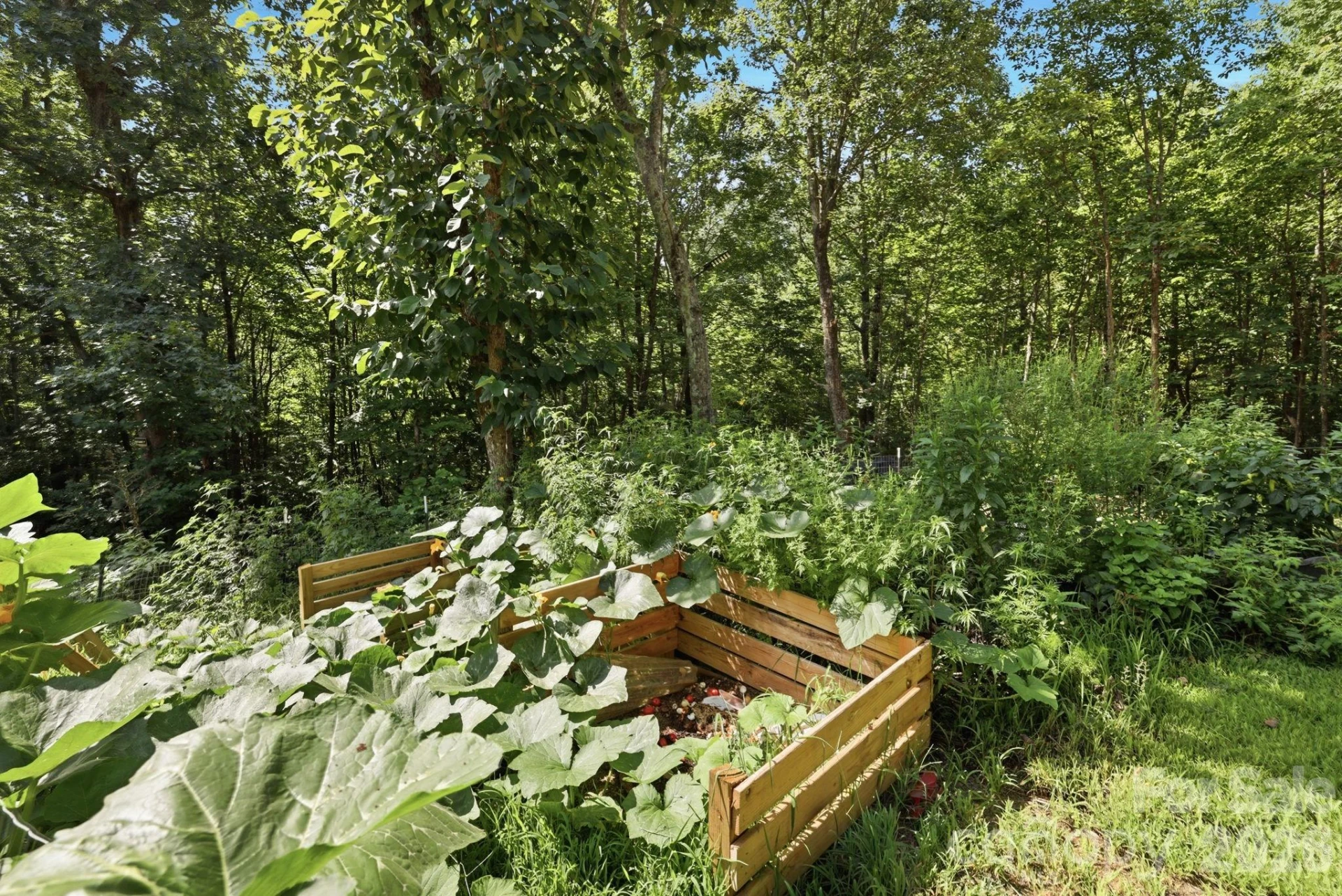 464 Mason Road - Photo 26