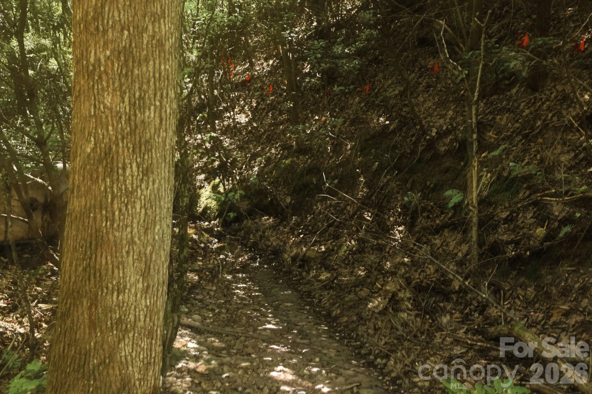 464 Mason Road - Photo 35