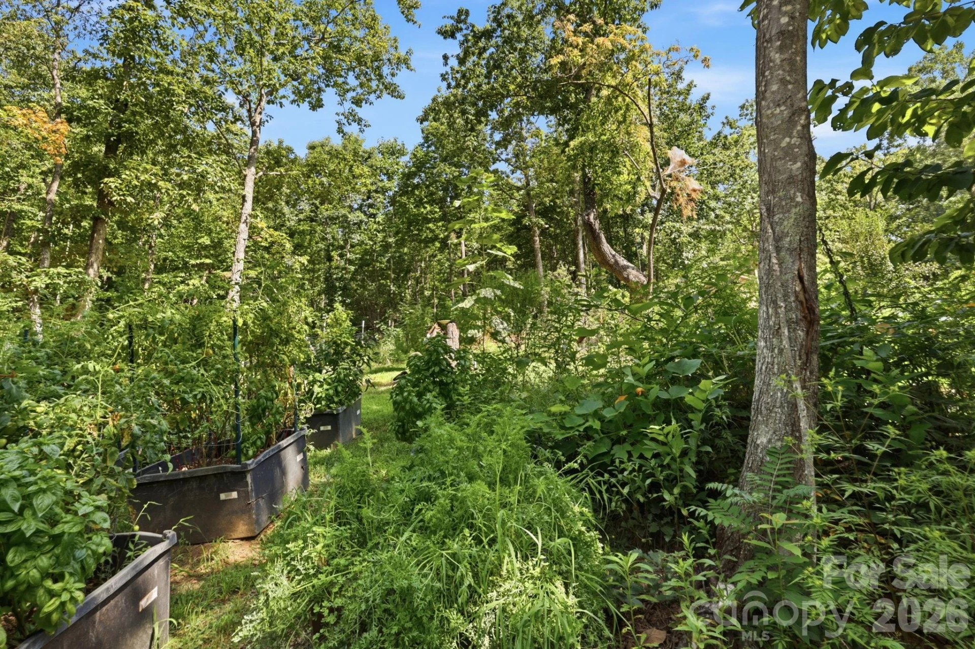 464 Mason Road - Photo 38
