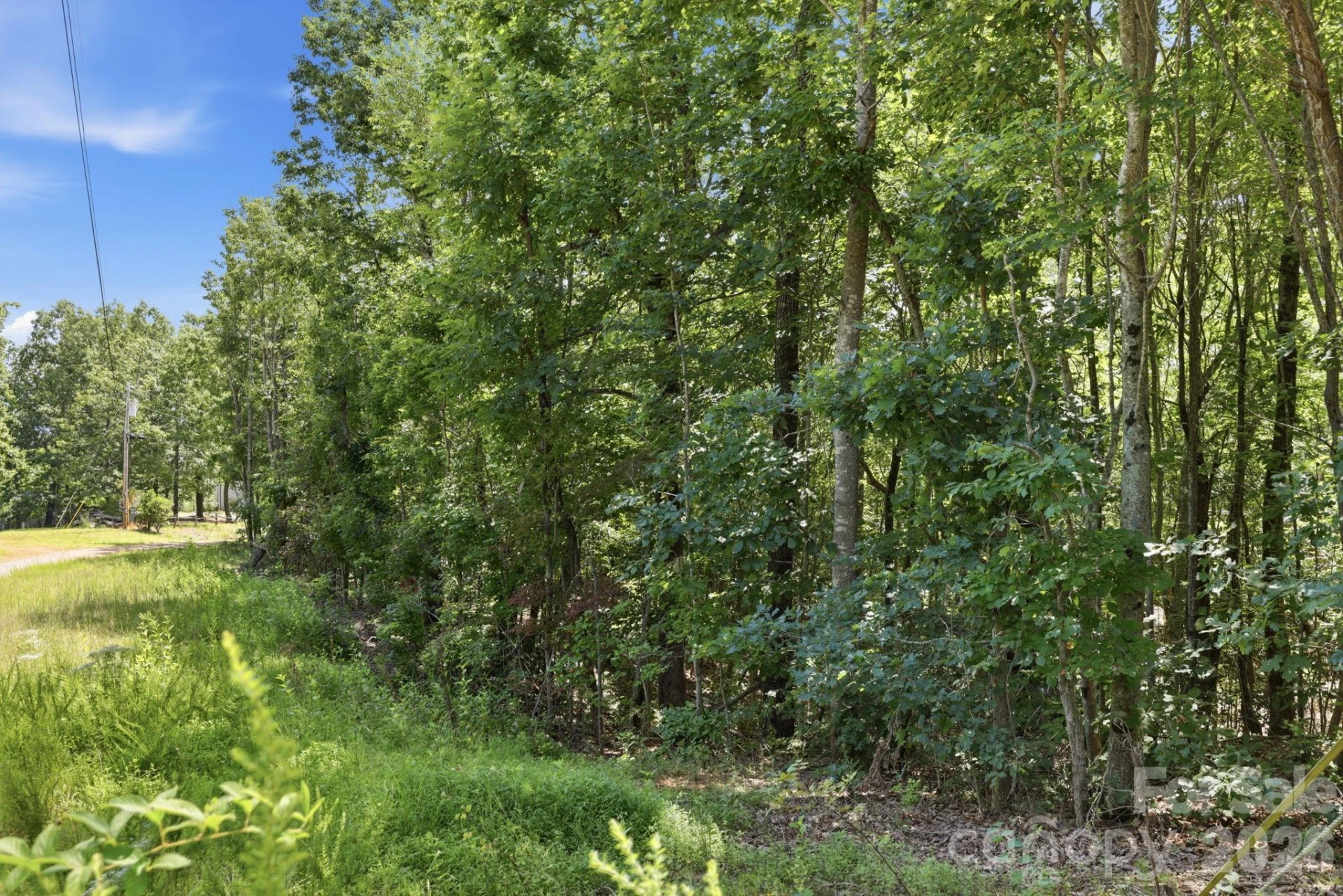 464 Mason Road - Photo 39