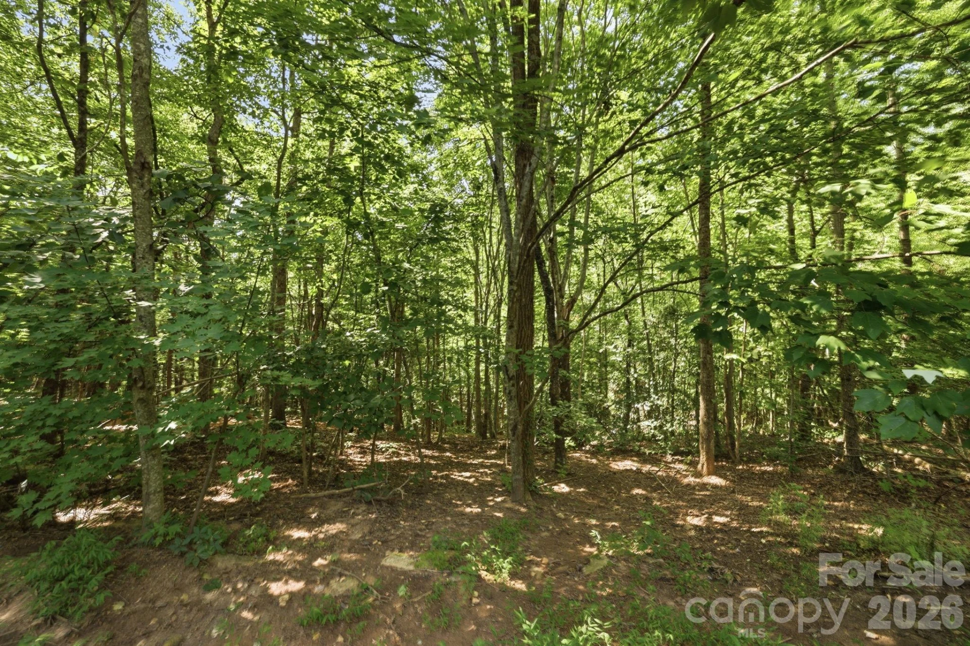 464 Mason Road - Photo 41