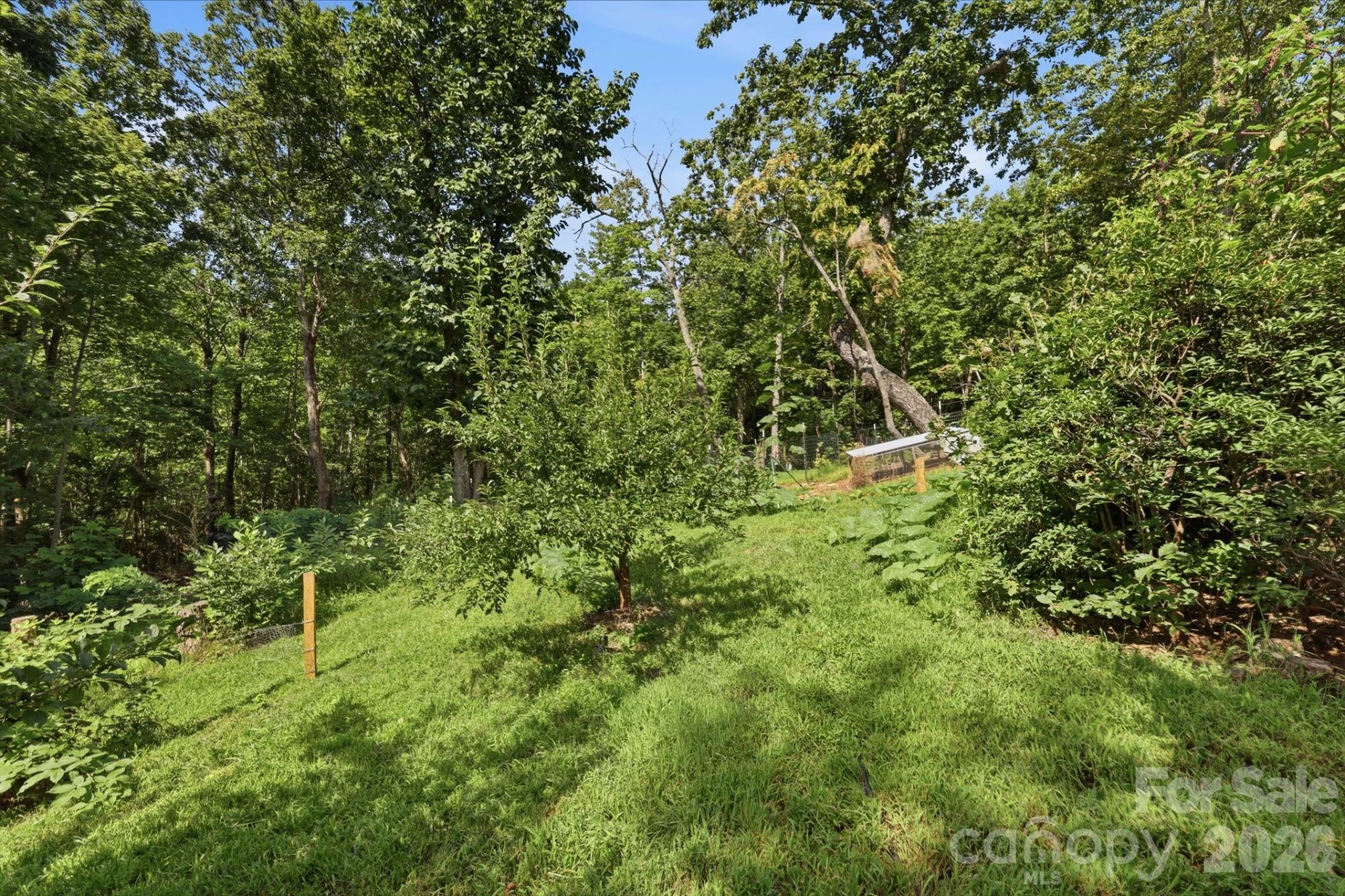 464 Mason Road - Photo 42
