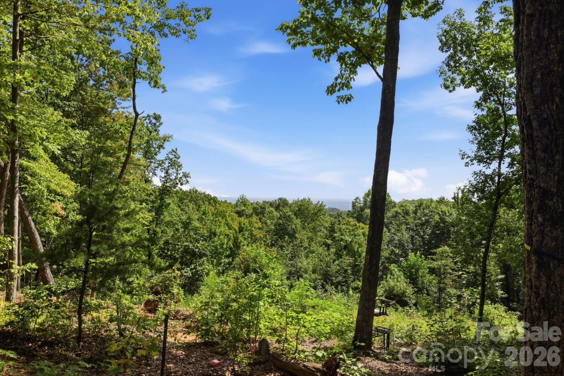 464 Mason Road - Photo 46
