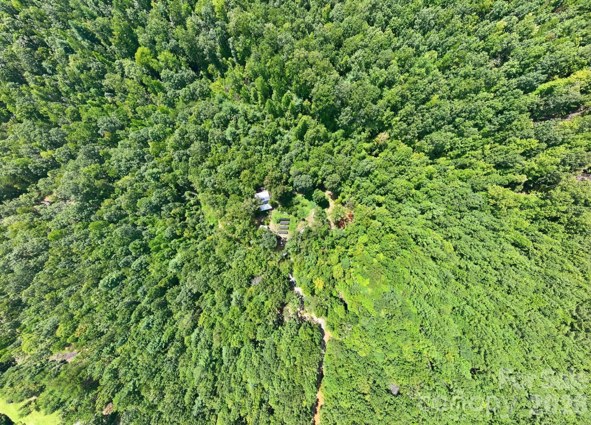 464 Mason Road - Photo 47