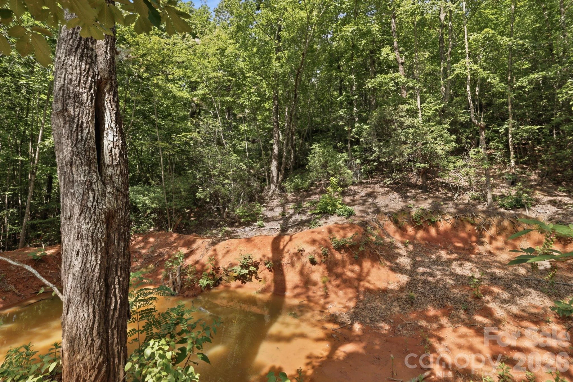 464 Mason Road - Photo 48