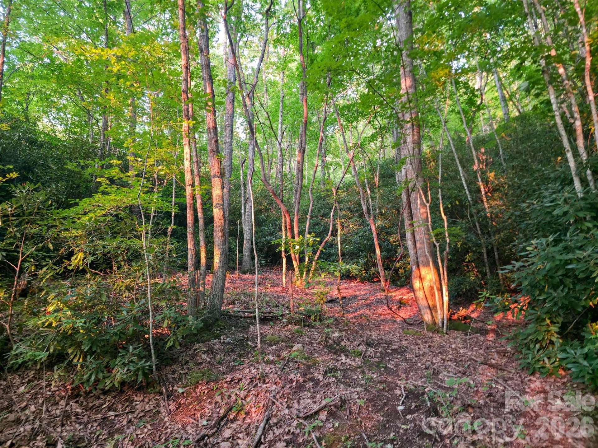 B1-B4 Anglers Ridge - Photo 5