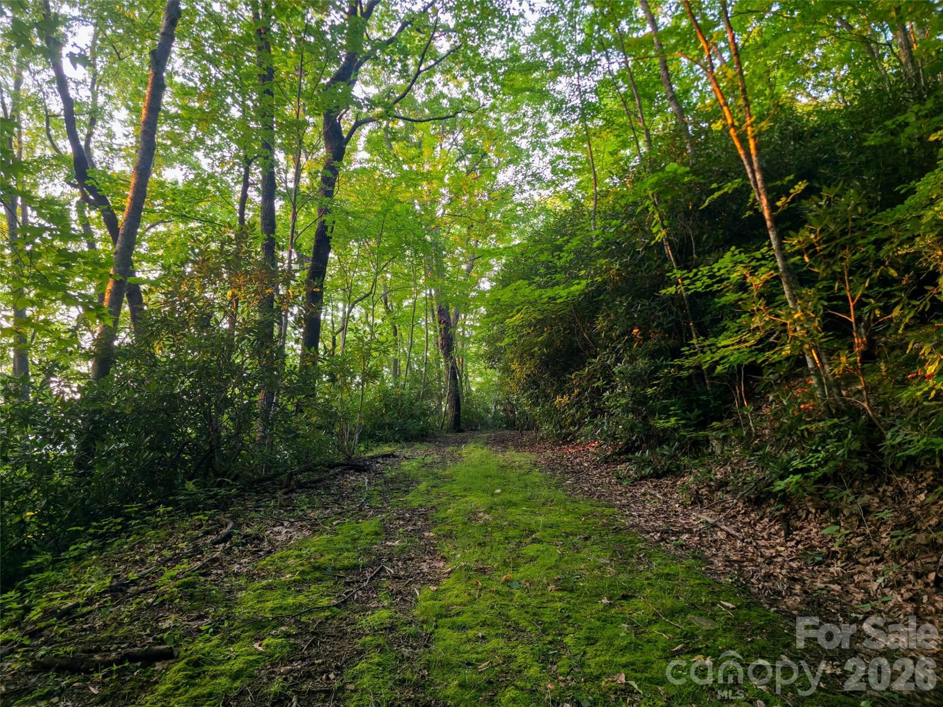B1-B4 Anglers Ridge - Photo 6