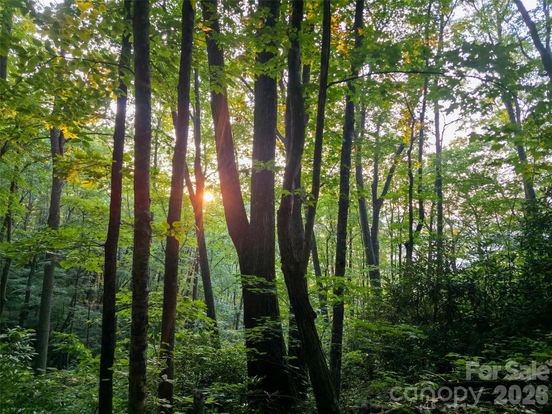 B1-B4 Anglers Ridge - Photo 7