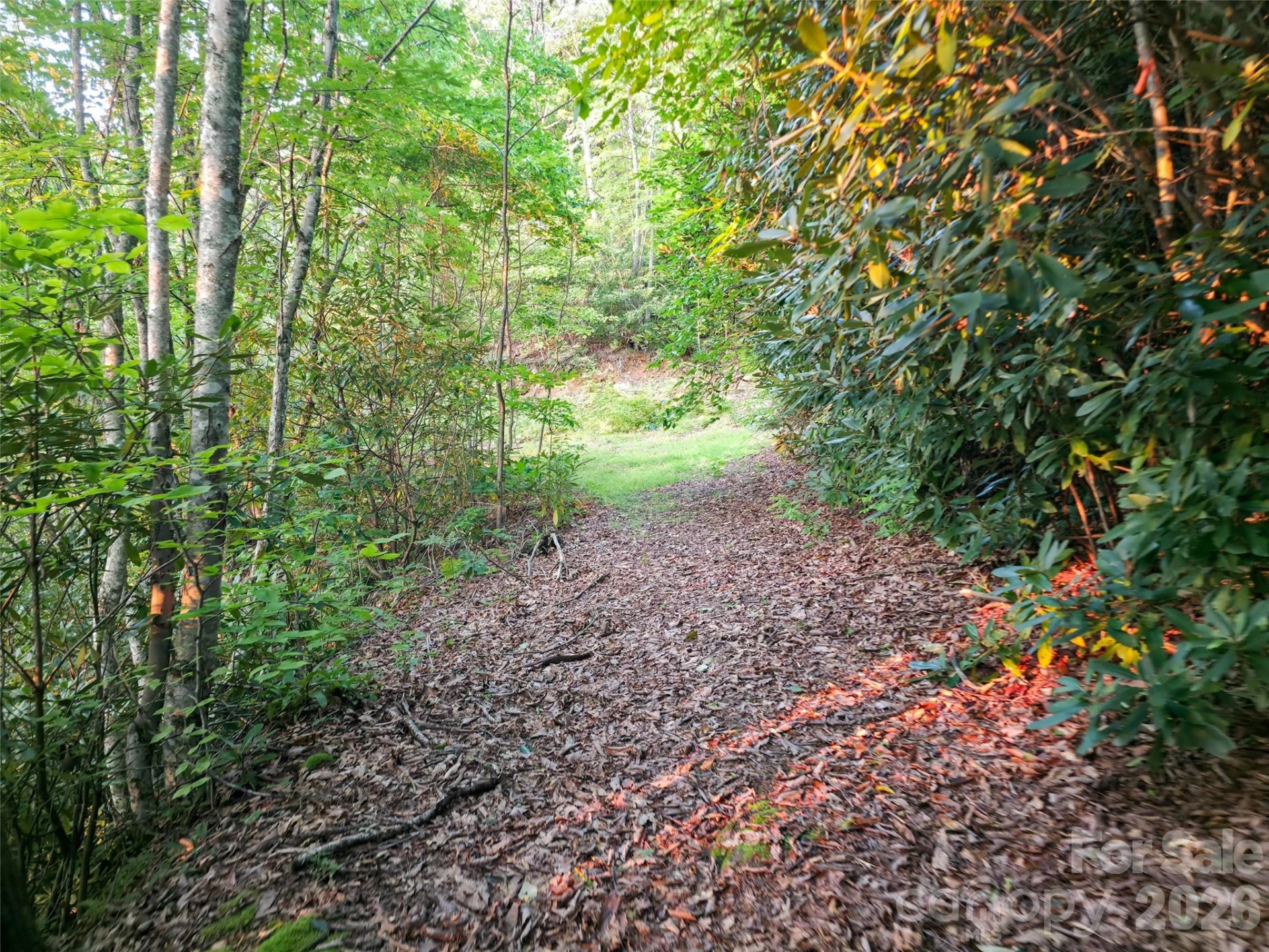 B1-B4 Anglers Ridge - Photo 8