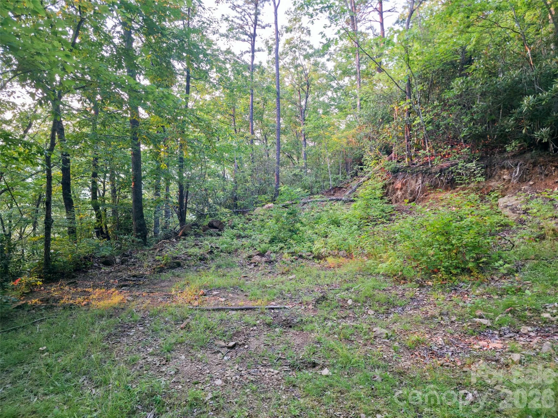 B1-B4 Anglers Ridge - Photo 9