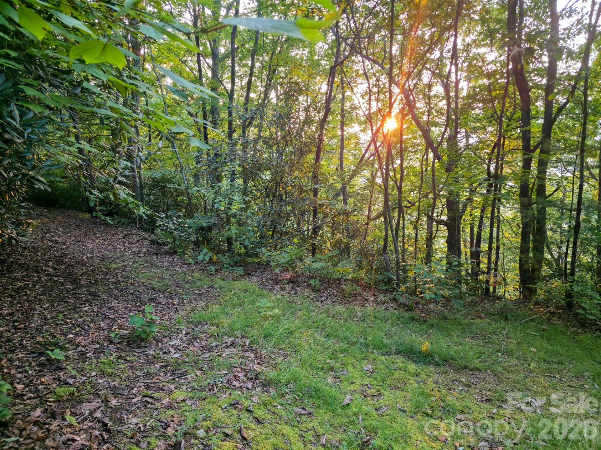 B1-B4 Anglers Ridge - Photo 10