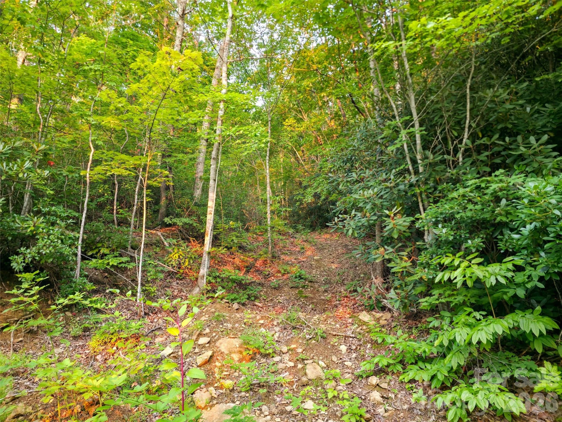 B1-B4 Anglers Ridge - Photo 11