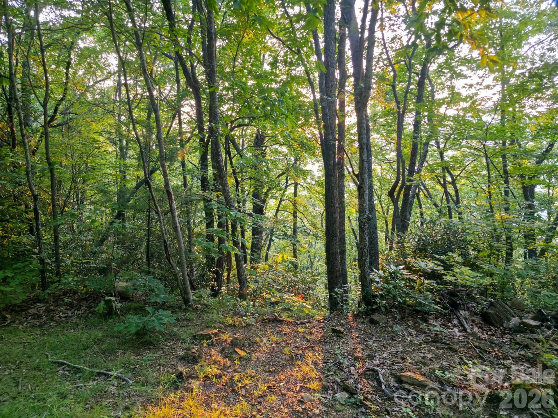 B1-B4 Anglers Ridge - Photo 12