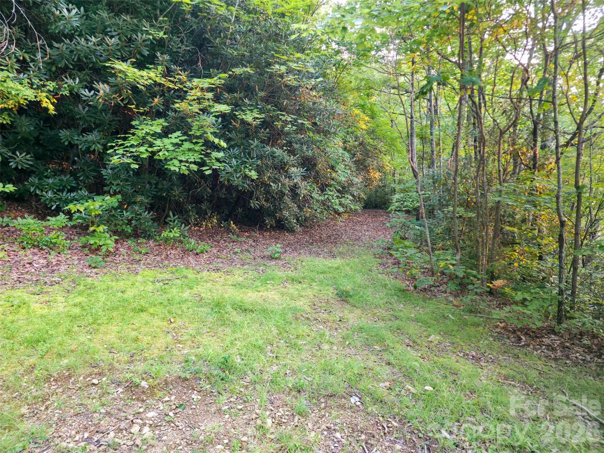 B1-B4 Anglers Ridge - Photo 13