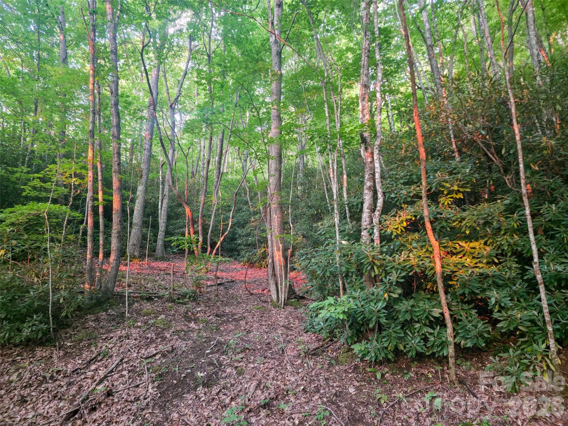 B1-B4 Anglers Ridge - Photo 14