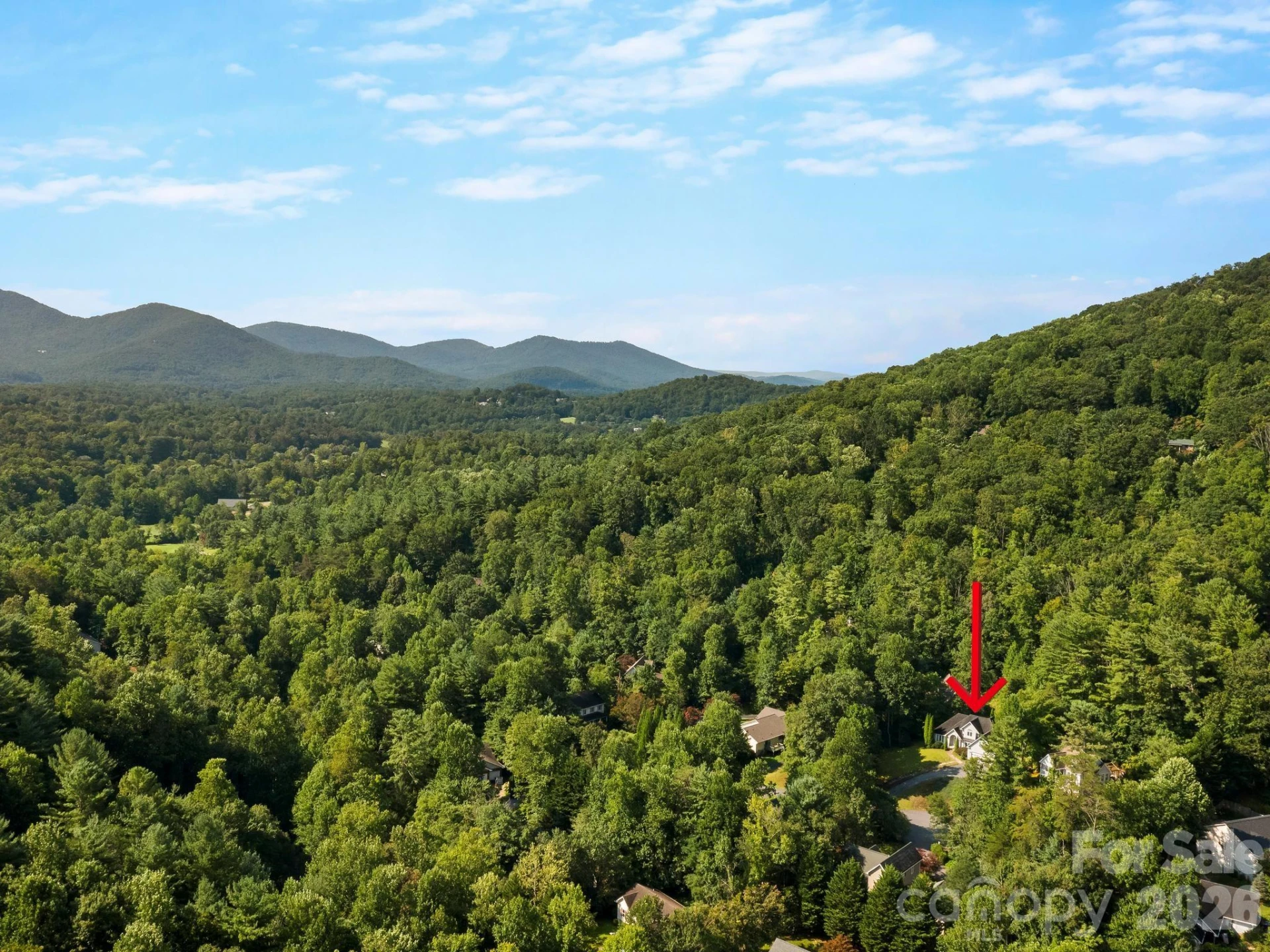 306 Golden Hawk Trail - Photo 5