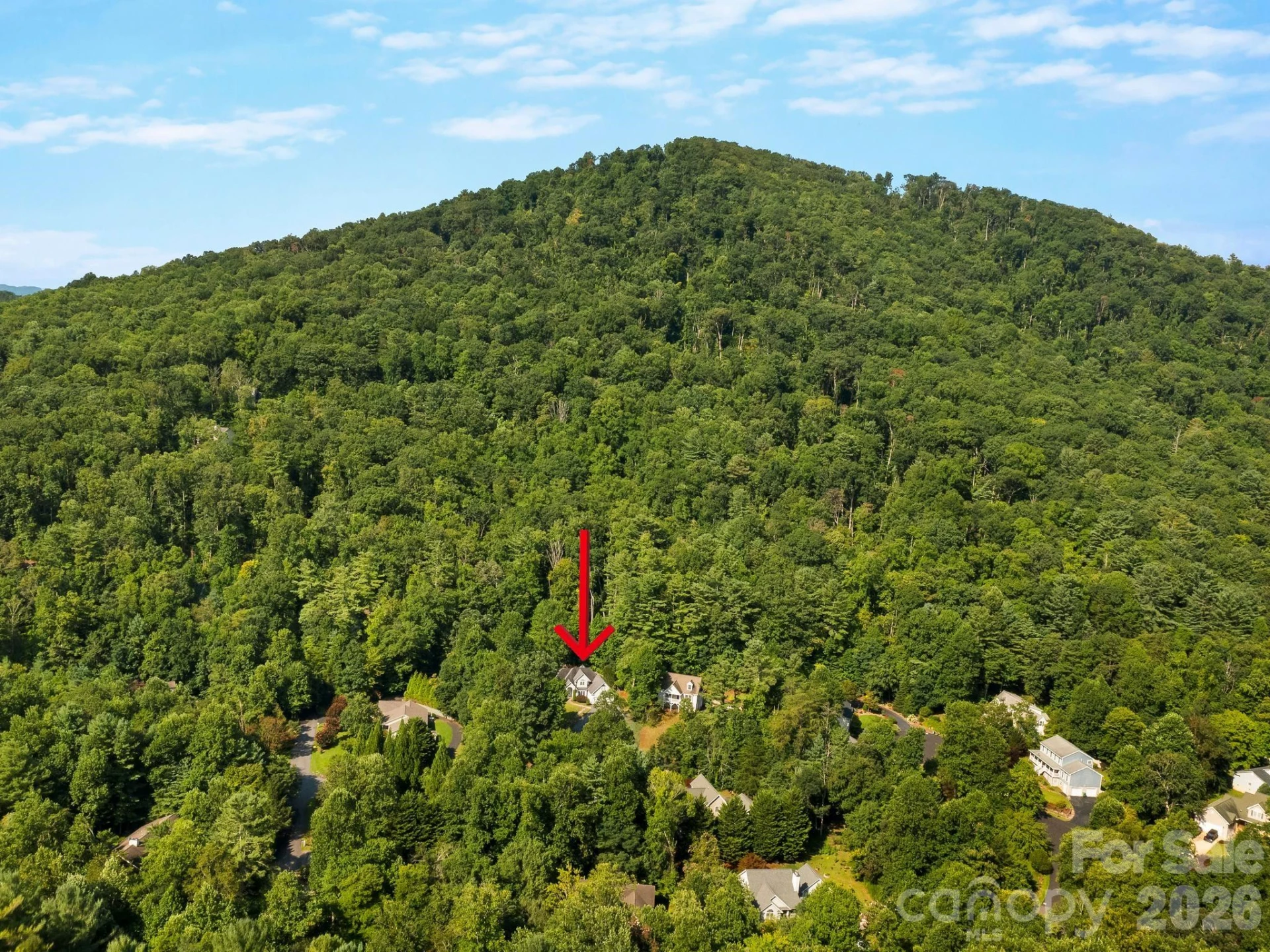 306 Golden Hawk Trail - Photo 38